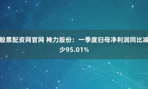 股票配资网官网 神力股份：一季度归母净利润同比减少95.01%