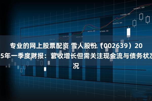 专业的网上股票配资 雪人股份（002639）2025年一季度财报：营收增长但需关注现金流与债务状况
