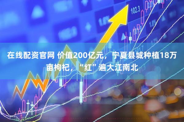 在线配资官网 价值200亿元，宁夏县城种植18万亩枸杞，“红”遍大江南北