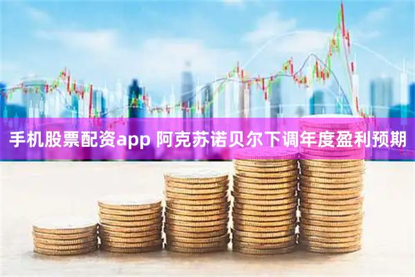 手机股票配资app 阿克苏诺贝尔下调年度盈利预期