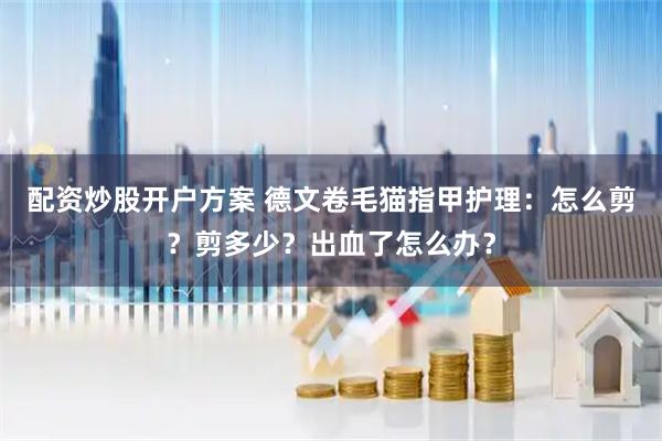 配资炒股开户方案 德文卷毛猫指甲护理：怎么剪？剪多少？出血了怎么办？