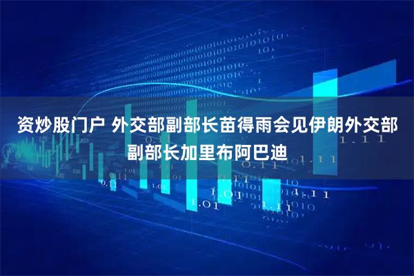 资炒股门户 外交部副部长苗得雨会见伊朗外交部副部长加里布阿巴迪